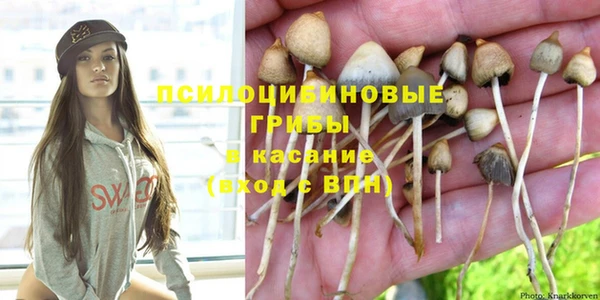 прущая мука Осинники