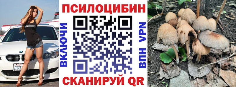 наркотики  площадка Telegram  Псилоцибиновые грибы мицелий  Армянск 